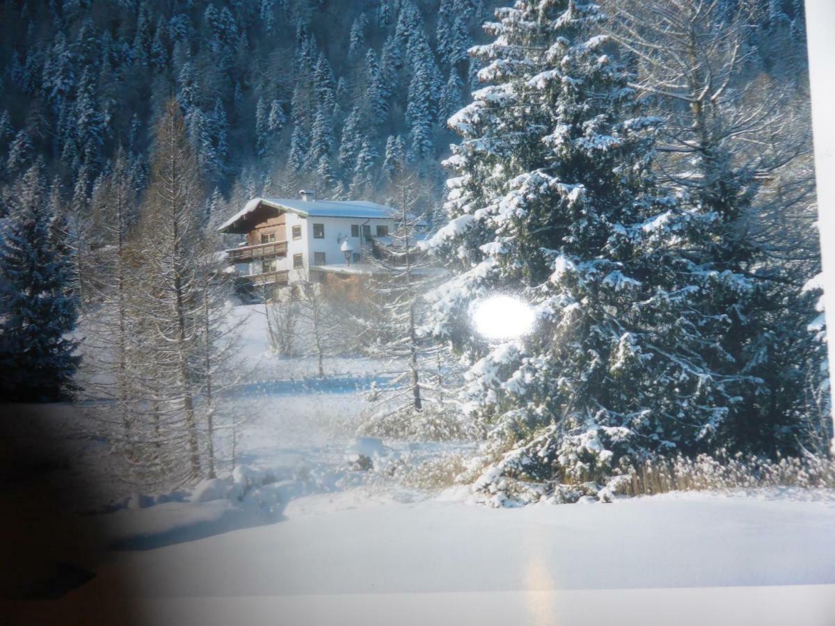 Alpenchalet *